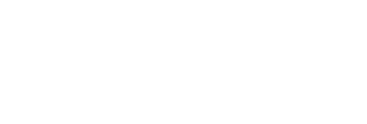 google logo white